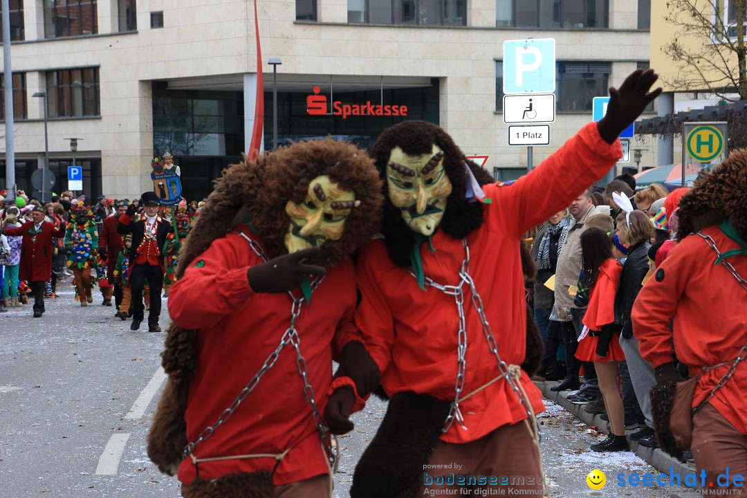 Fasnetsumzug - Fasching: Friedrichshafen am Bodensee, 01.03.2014