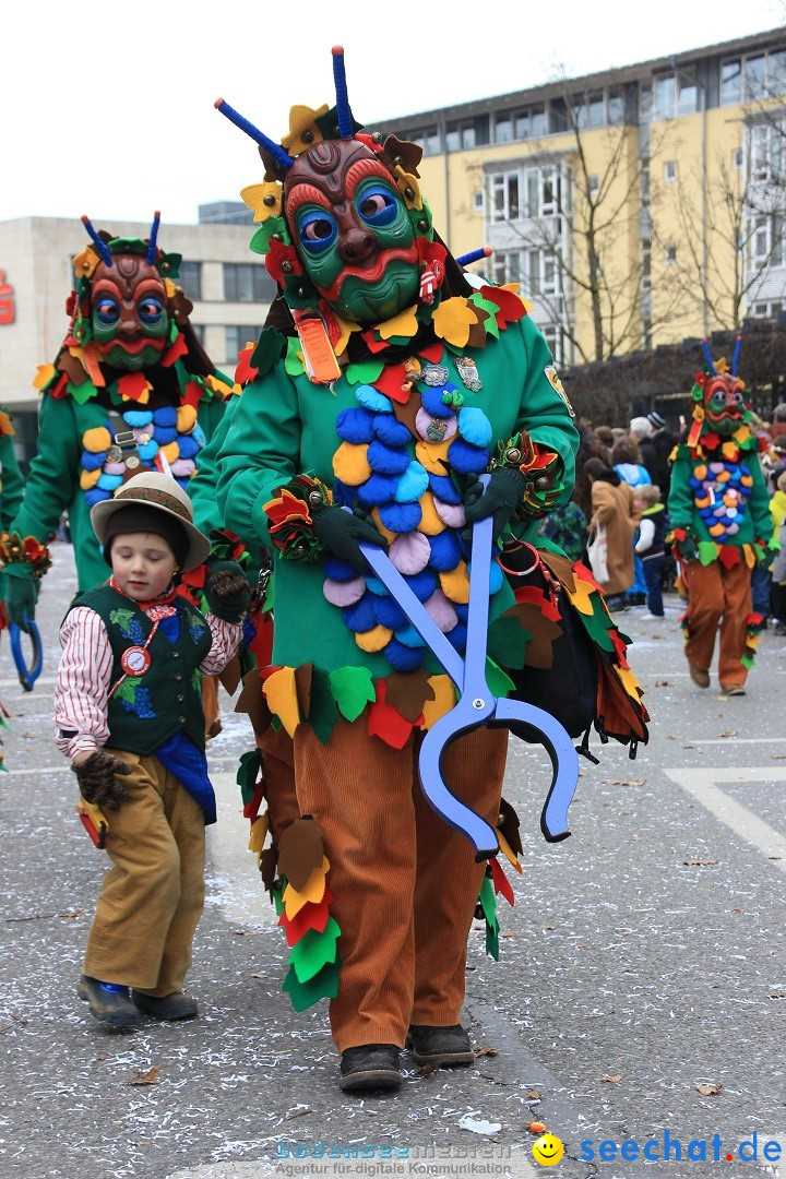 Fasnetsumzug - Fasching: Friedrichshafen am Bodensee, 01.03.2014