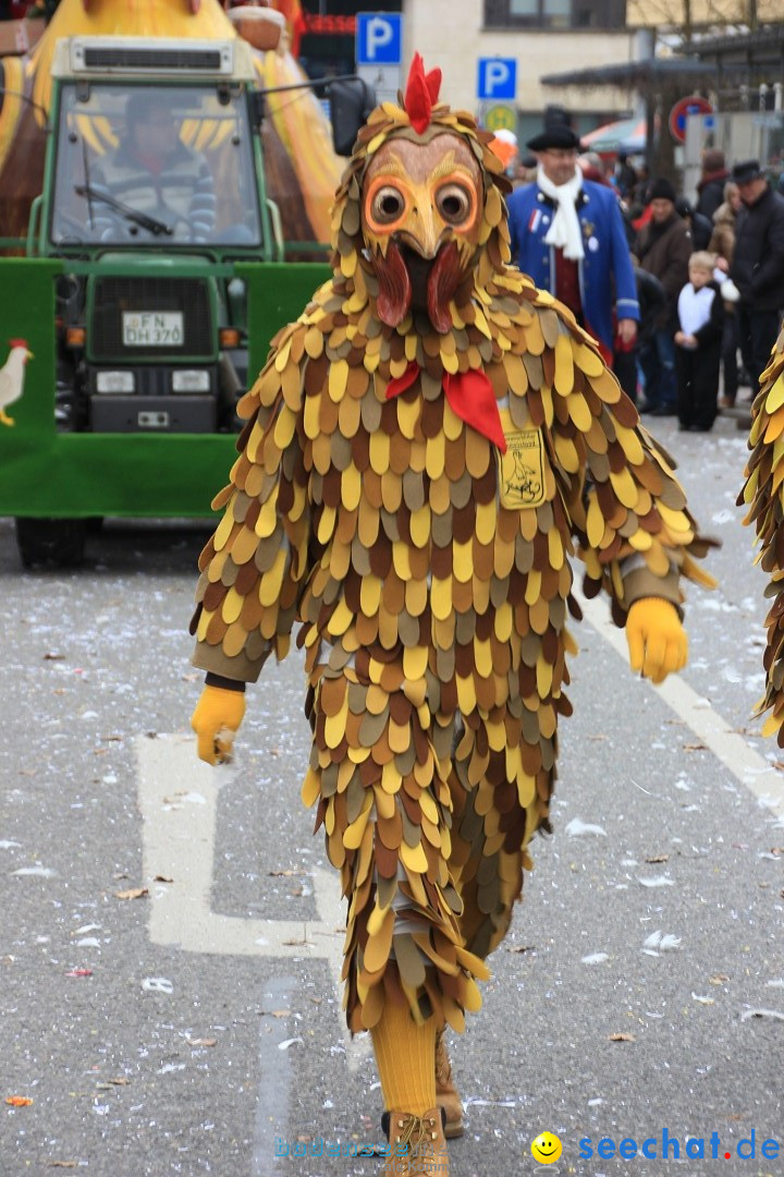 Fasnetsumzug - Fasching: Friedrichshafen am Bodensee, 01.03.2014