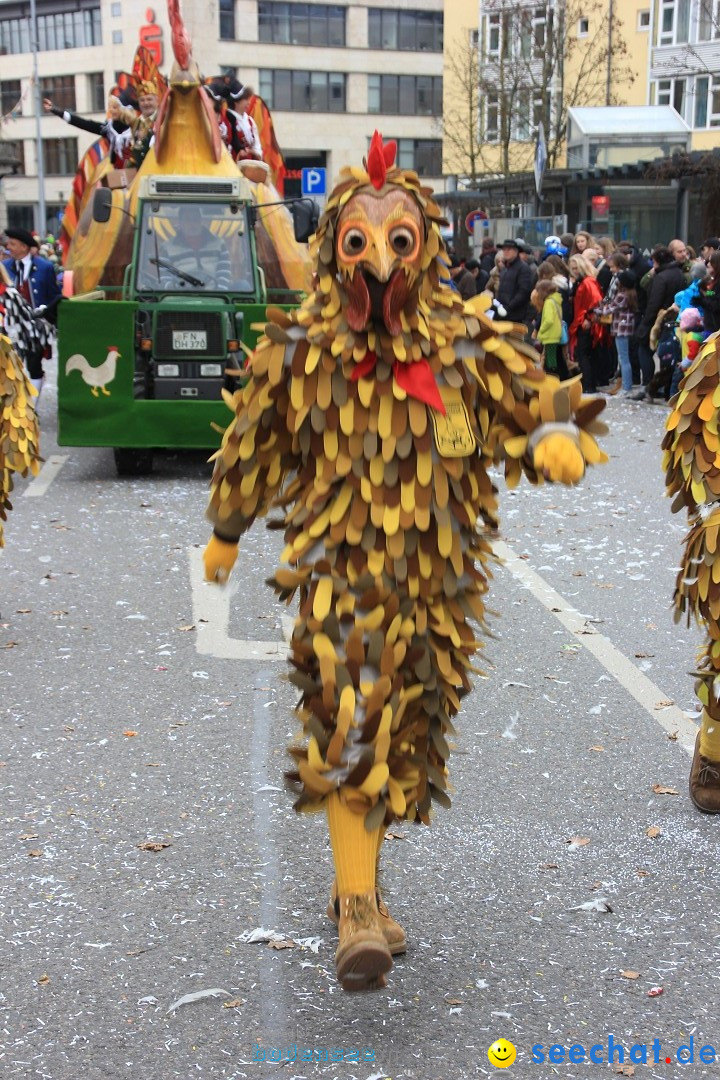 Fasnetsumzug - Fasching: Friedrichshafen am Bodensee, 01.03.2014