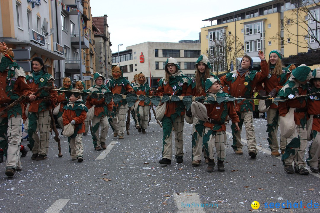 Fasnetsumzug - Fasching: Friedrichshafen am Bodensee, 01.03.2014