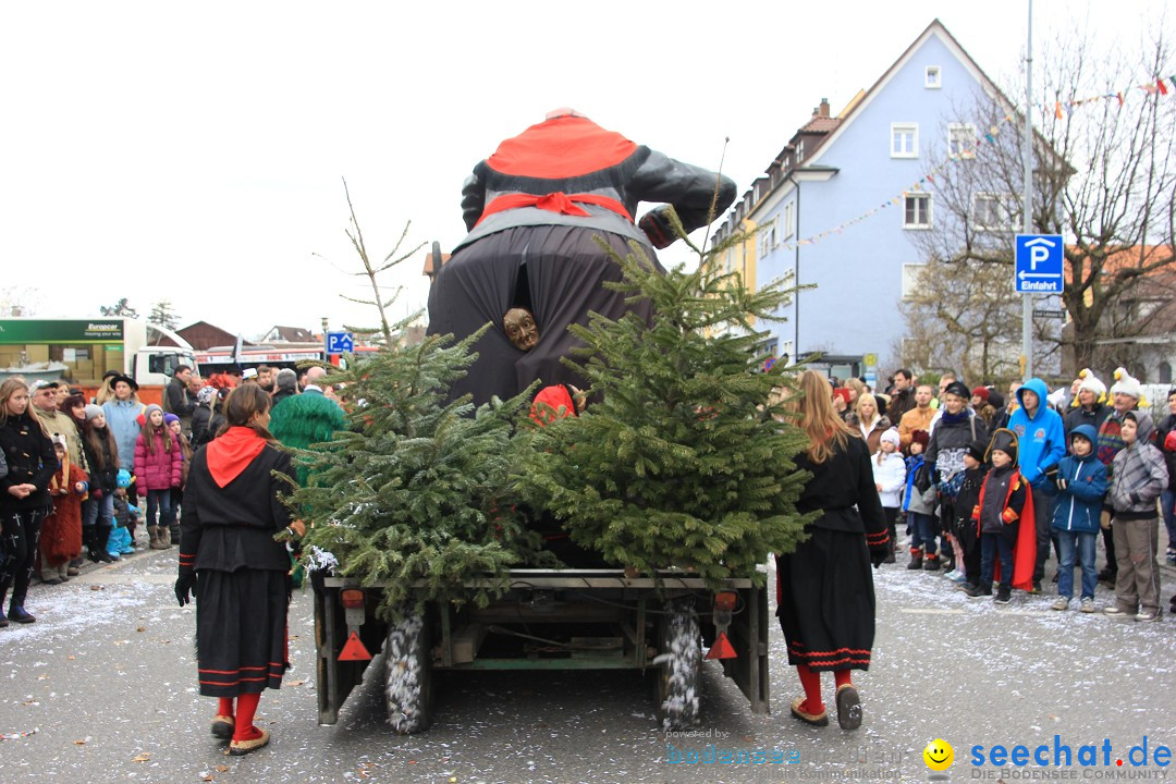 Fasnetsumzug - Fasching: Friedrichshafen am Bodensee, 01.03.2014