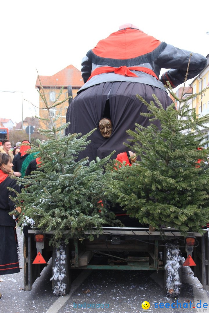 Fasnetsumzug - Fasching: Friedrichshafen am Bodensee, 01.03.2014