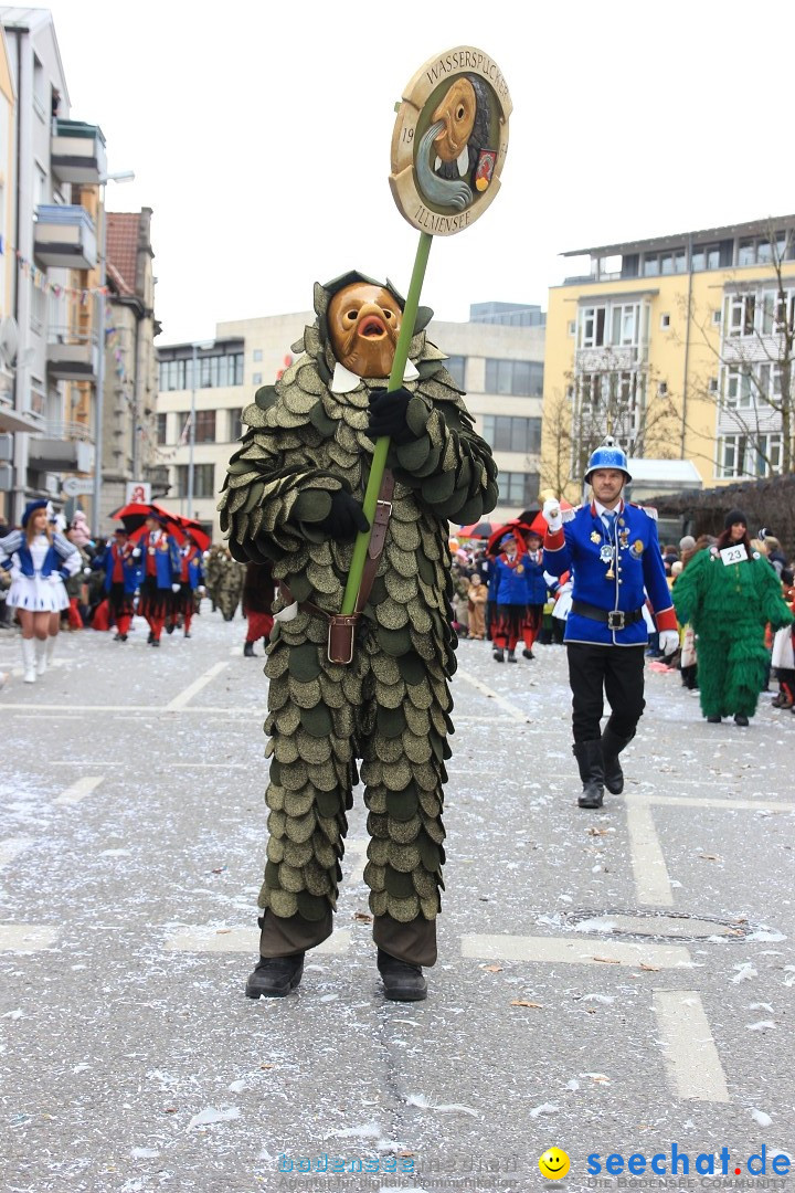 Fasnetsumzug - Fasching: Friedrichshafen am Bodensee, 01.03.2014