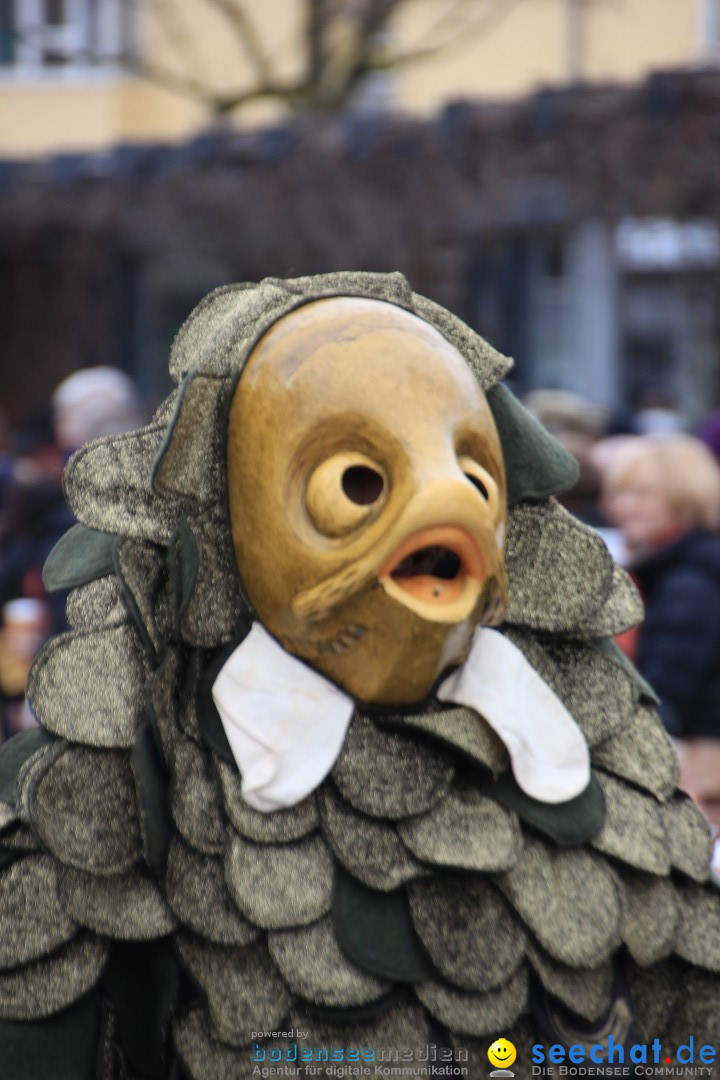 Fasnetsumzug - Fasching: Friedrichshafen am Bodensee, 01.03.2014