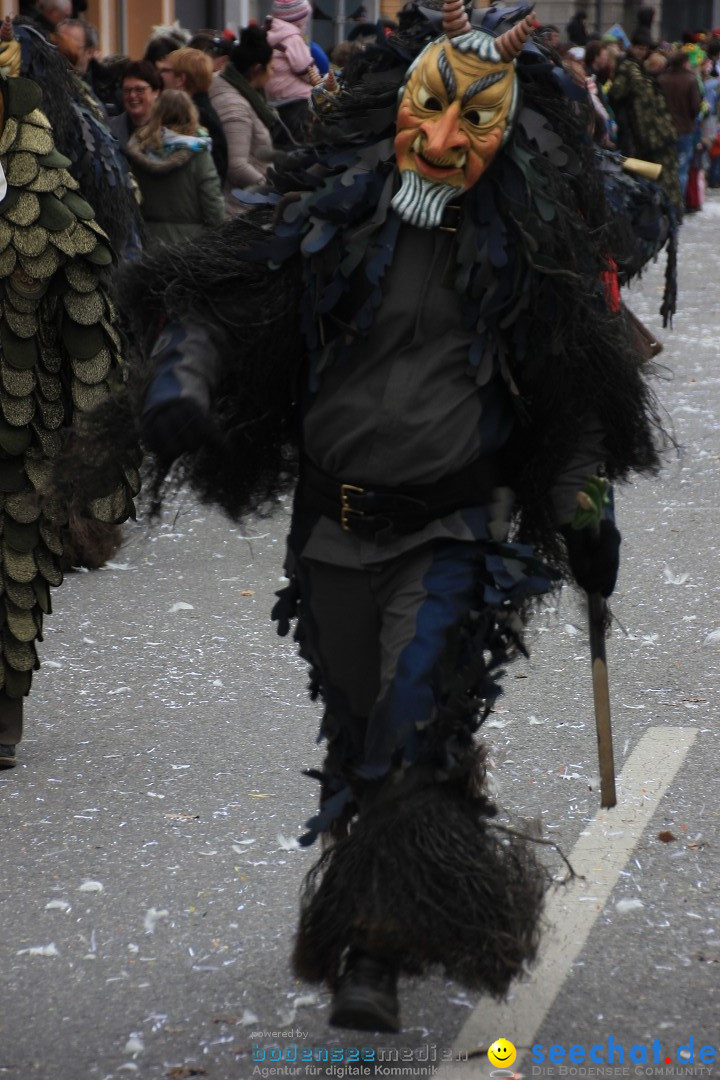 Fasnetsumzug - Fasching: Friedrichshafen am Bodensee, 01.03.2014