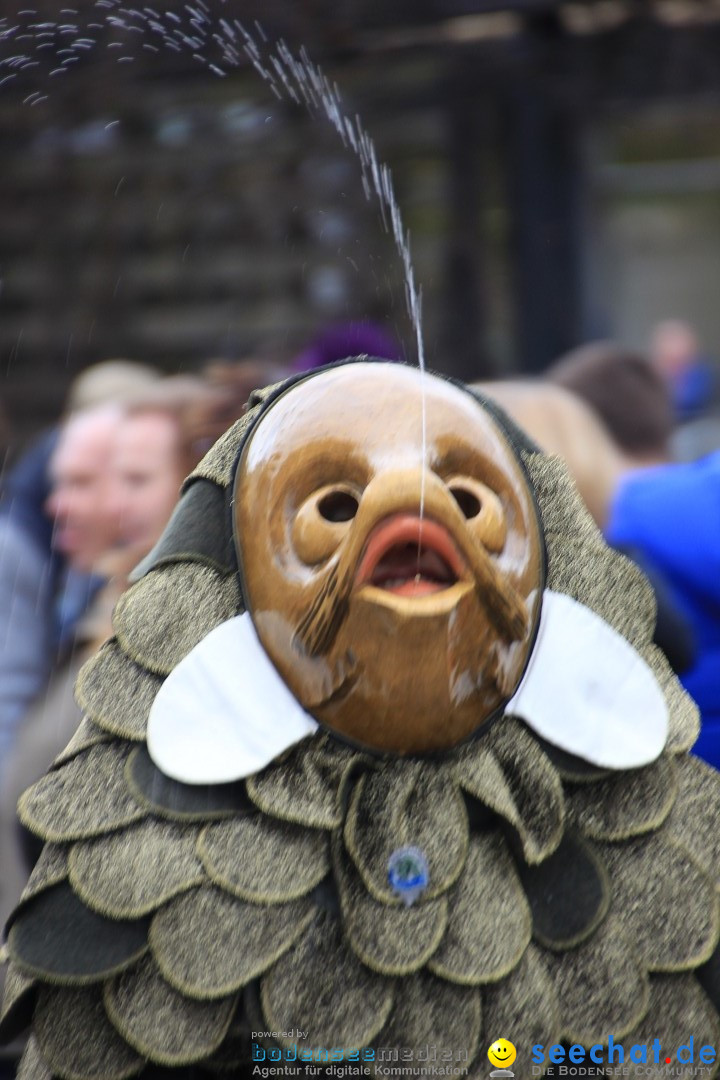 Fasnetsumzug - Fasching: Friedrichshafen am Bodensee, 01.03.2014