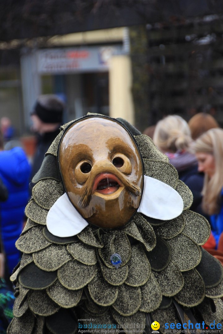 Fasnetsumzug - Fasching: Friedrichshafen am Bodensee, 01.03.2014