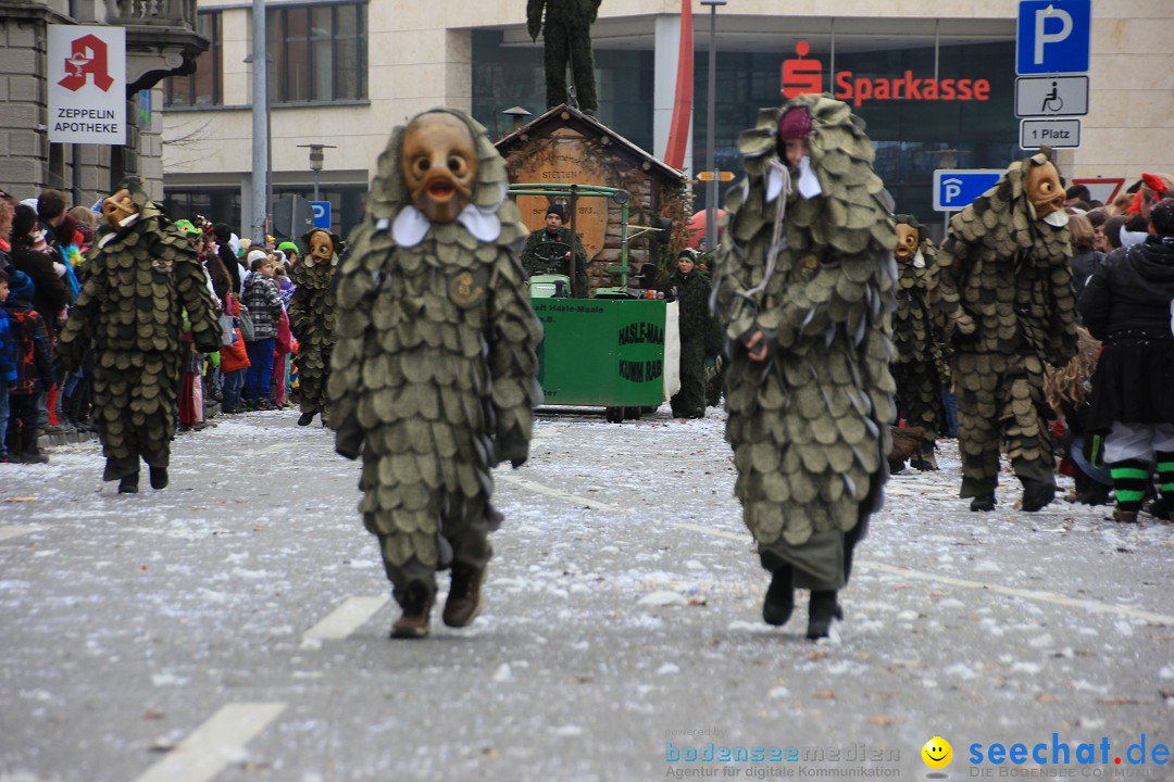 Fasnetsumzug - Fasching: Friedrichshafen am Bodensee, 01.03.2014