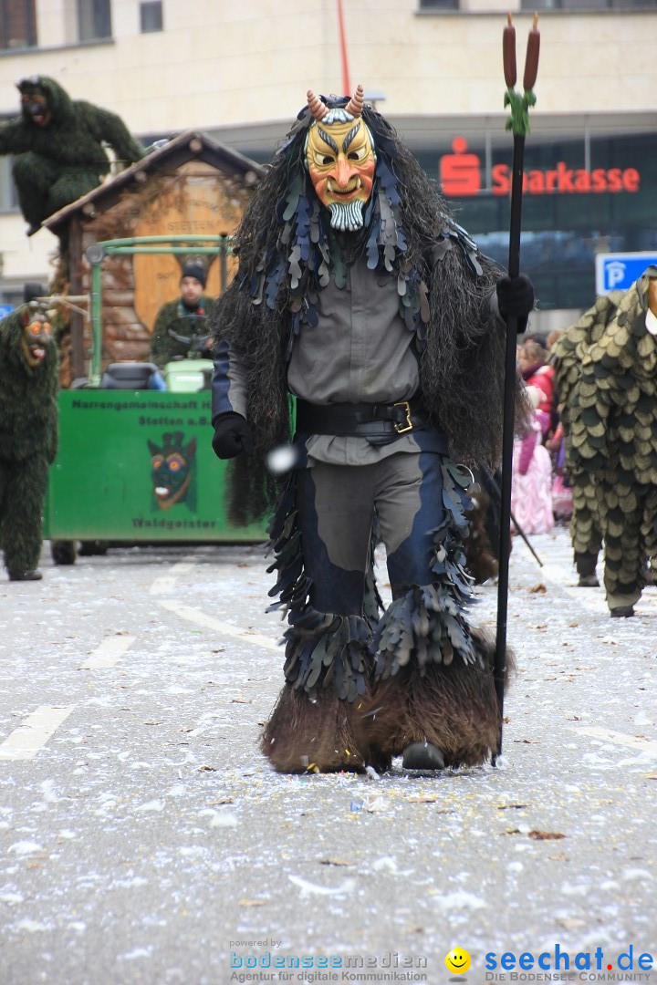 Fasnetsumzug - Fasching: Friedrichshafen am Bodensee, 01.03.2014