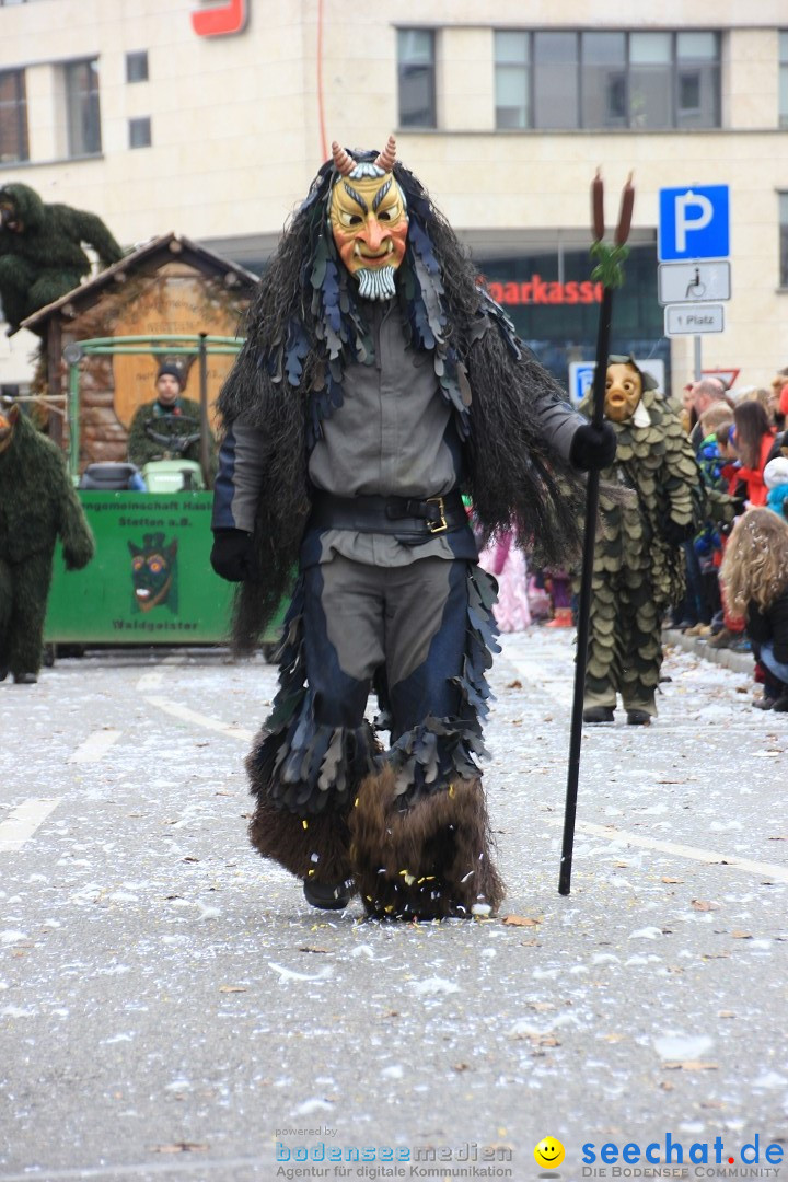 Fasnetsumzug - Fasching: Friedrichshafen am Bodensee, 01.03.2014