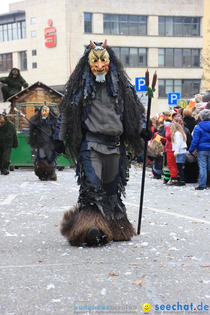 Fasnetsumzug - Fasching: Friedrichshafen am Bodensee, 01.03.2014