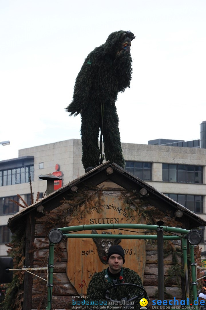 Fasnetsumzug - Fasching: Friedrichshafen am Bodensee, 01.03.2014