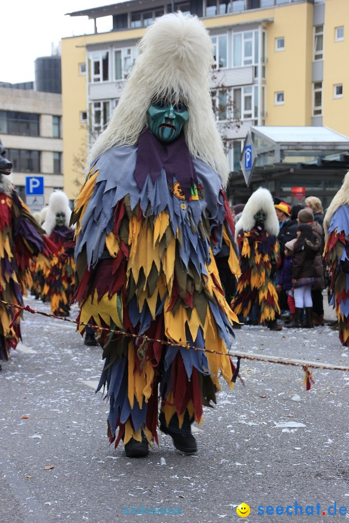 Fasnetsumzug - Fasching: Friedrichshafen am Bodensee, 01.03.2014