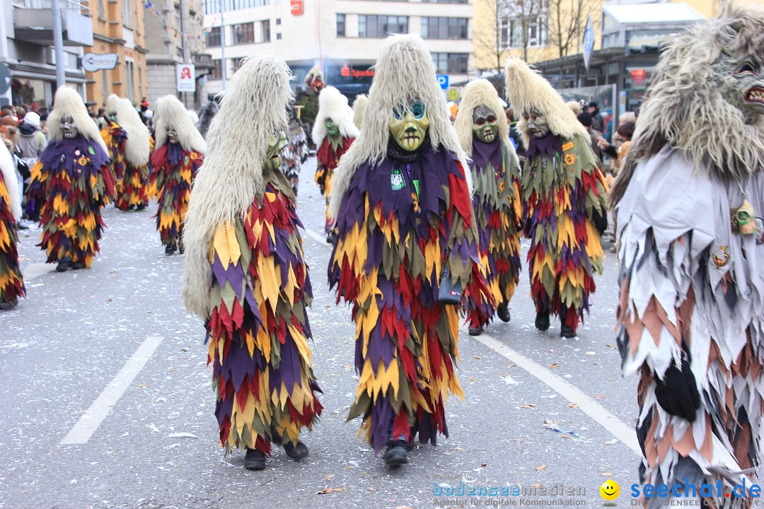 Fasnetsumzug - Fasching: Friedrichshafen am Bodensee, 01.03.2014