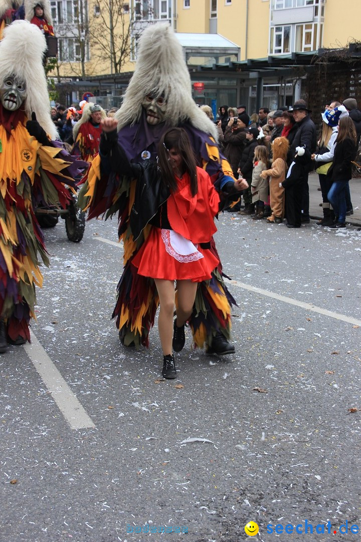 Fasnetsumzug - Fasching: Friedrichshafen am Bodensee, 01.03.2014