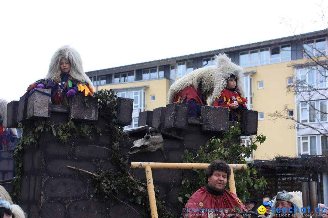 Fasnetsumzug - Fasching: Friedrichshafen am Bodensee, 01.03.2014