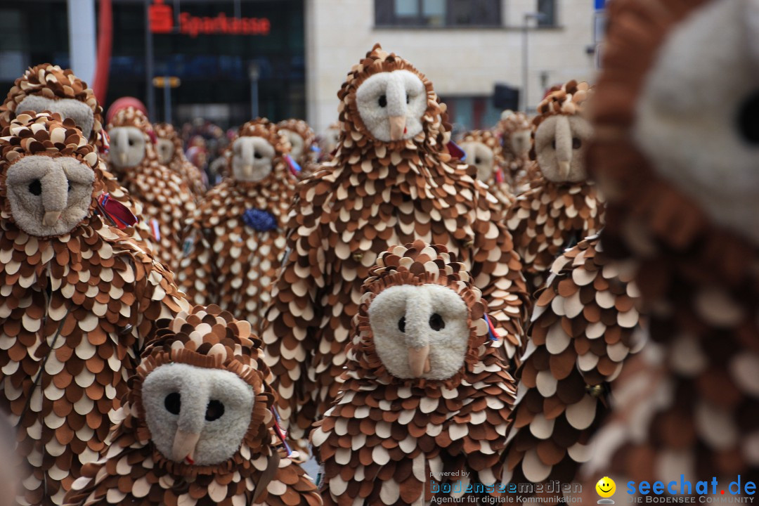 Fasnetsumzug - Fasching: Friedrichshafen am Bodensee, 01.03.2014