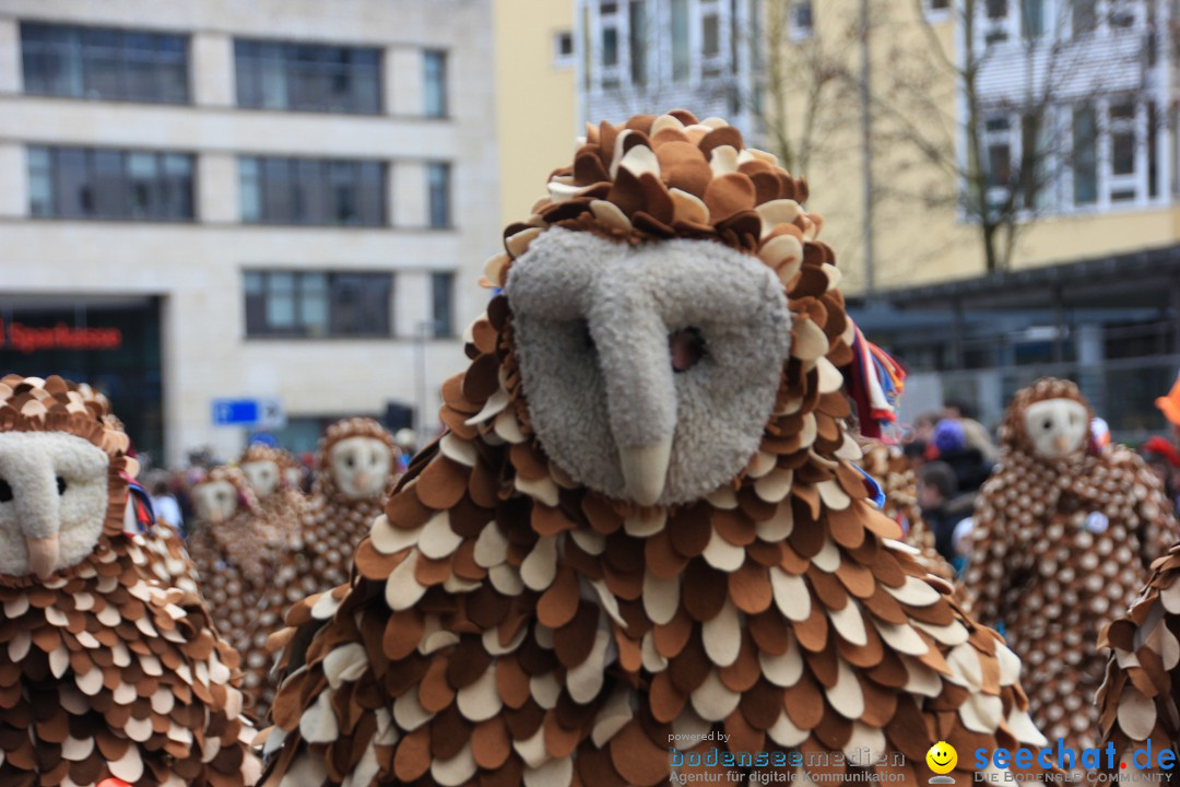 Fasnetsumzug - Fasching: Friedrichshafen am Bodensee, 01.03.2014