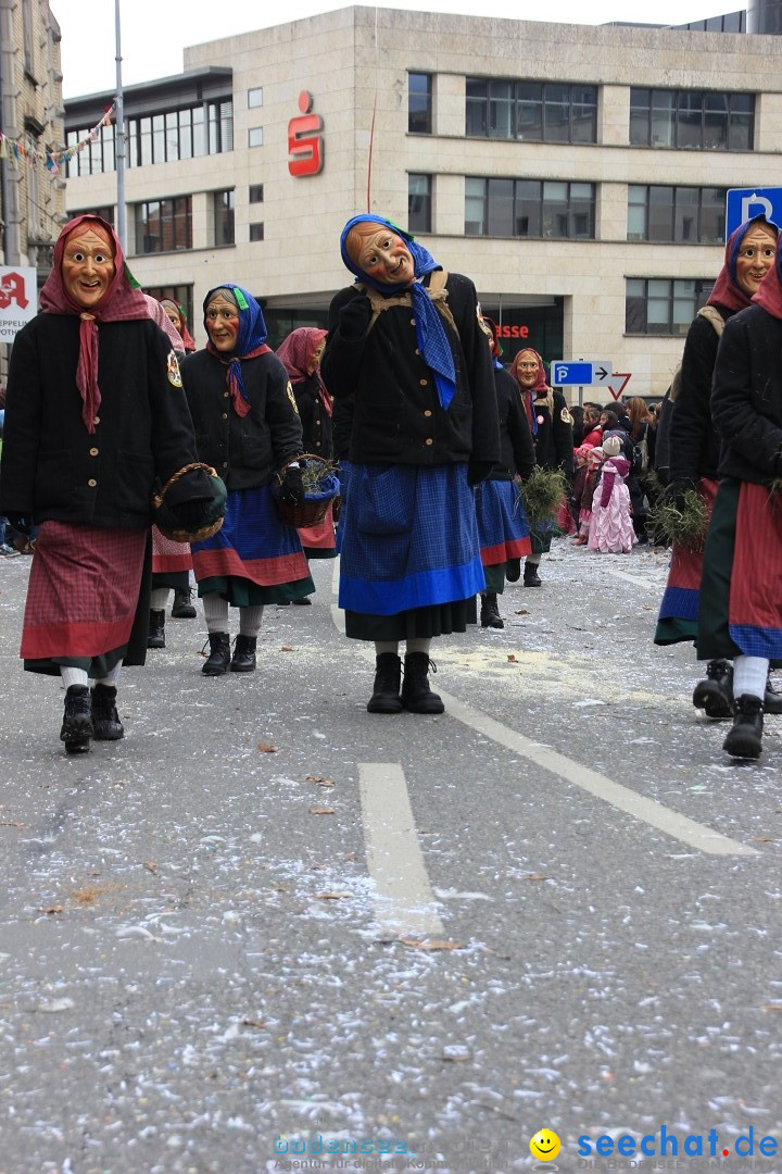 Fasnetsumzug - Fasching: Friedrichshafen am Bodensee, 01.03.2014