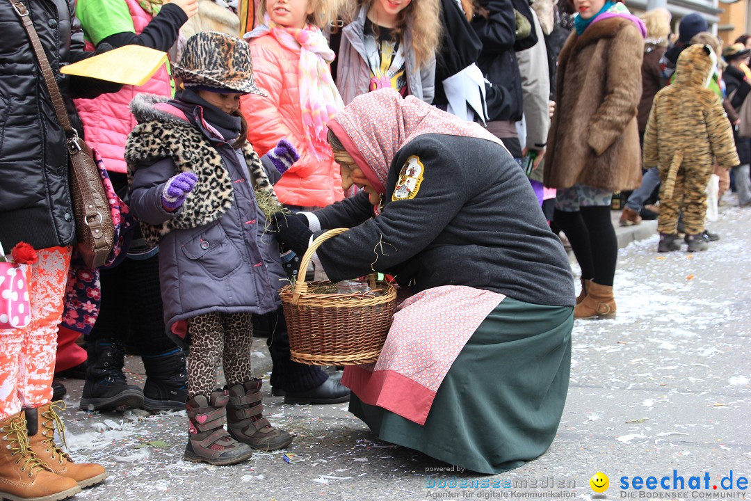 Fasnetsumzug - Fasching: Friedrichshafen am Bodensee, 01.03.2014