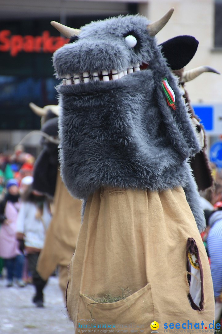 Fasnetsumzug - Fasching: Friedrichshafen am Bodensee, 01.03.2014