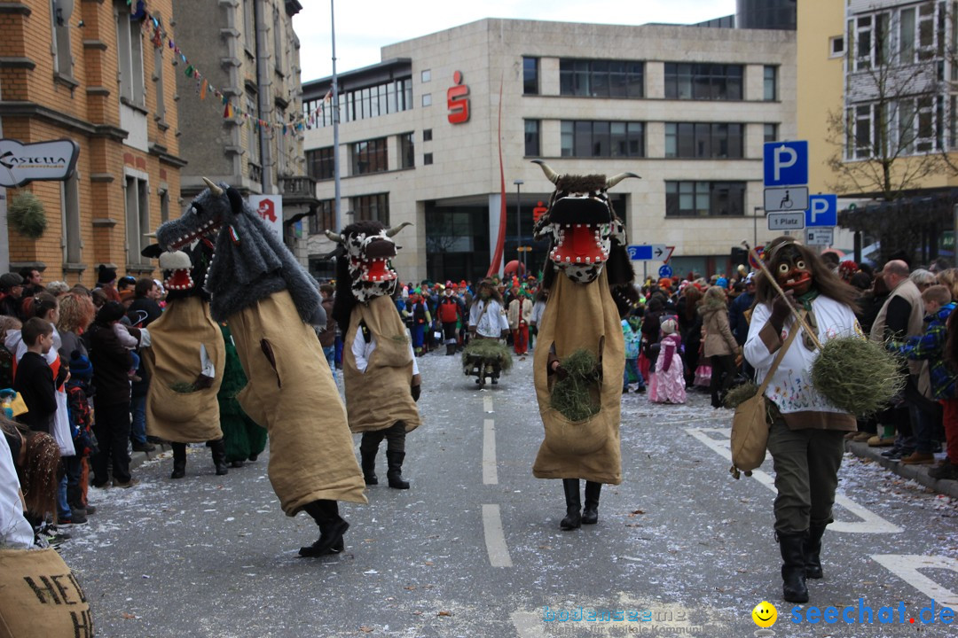 Fasnetsumzug - Fasching: Friedrichshafen am Bodensee, 01.03.2014