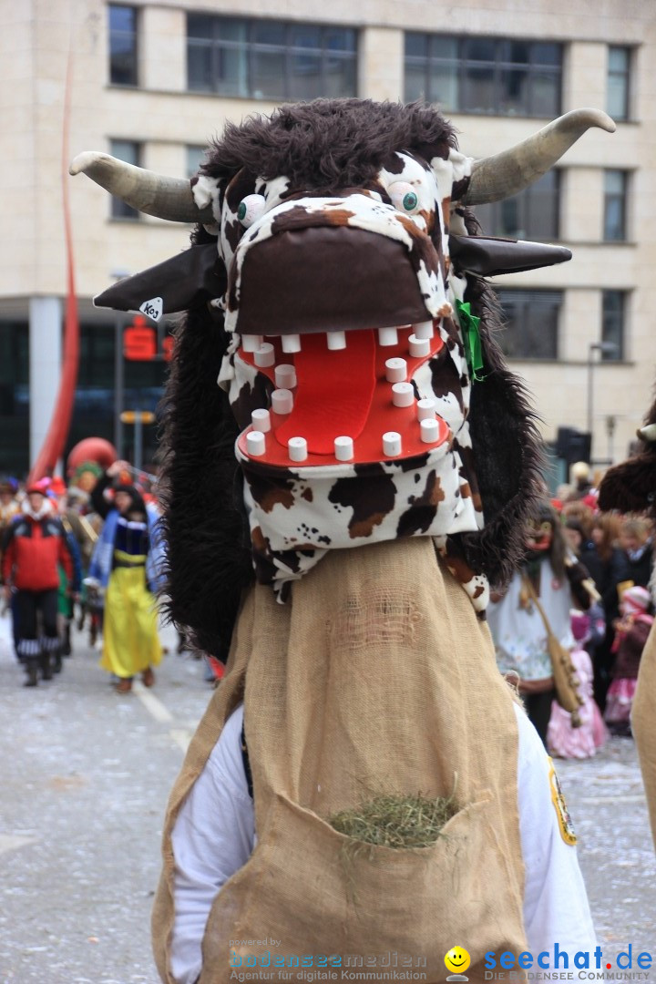 Fasnetsumzug - Fasching: Friedrichshafen am Bodensee, 01.03.2014