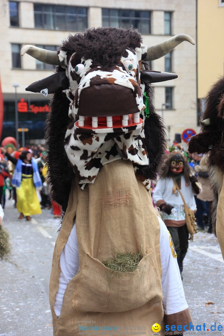 Fasnetsumzug - Fasching: Friedrichshafen am Bodensee, 01.03.2014