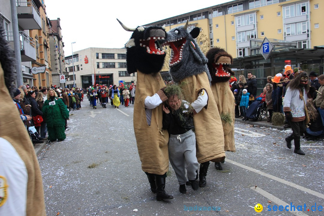 Fasnetsumzug - Fasching: Friedrichshafen am Bodensee, 01.03.2014