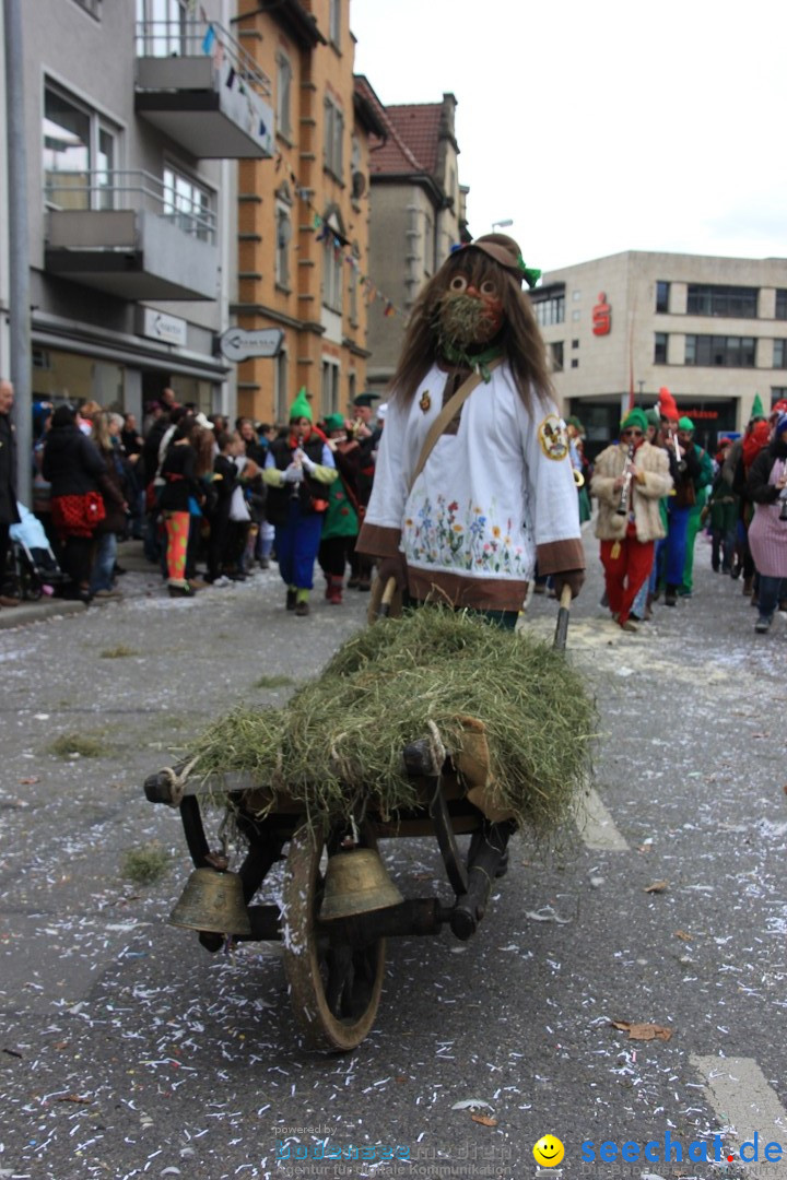 Fasnetsumzug - Fasching: Friedrichshafen am Bodensee, 01.03.2014