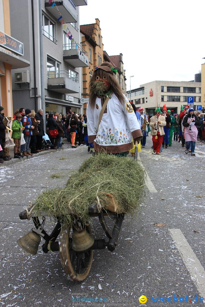 Fasnetsumzug - Fasching: Friedrichshafen am Bodensee, 01.03.2014