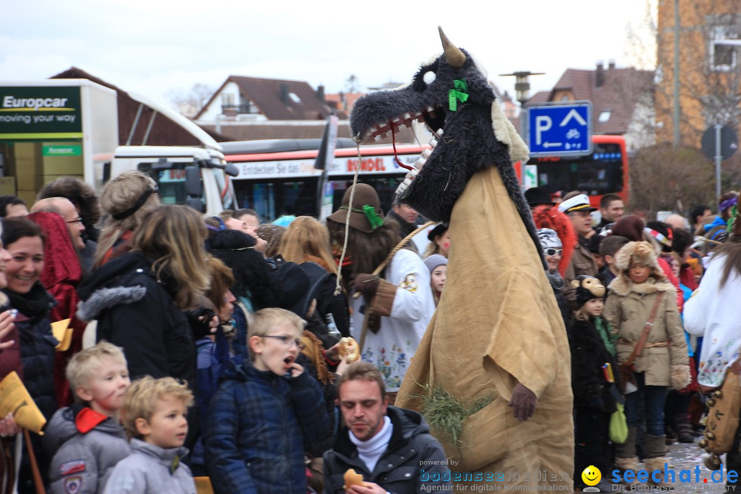 Fasnetsumzug - Fasching: Friedrichshafen am Bodensee, 01.03.2014