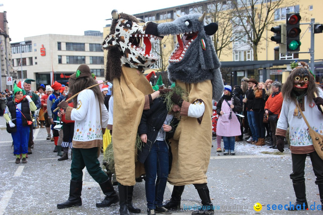 Fasnetsumzug - Fasching: Friedrichshafen am Bodensee, 01.03.2014