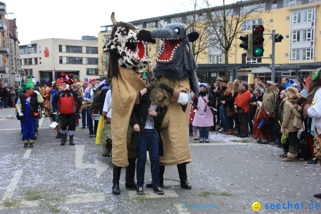 Fasnetsumzug - Fasching: Friedrichshafen am Bodensee, 01.03.2014