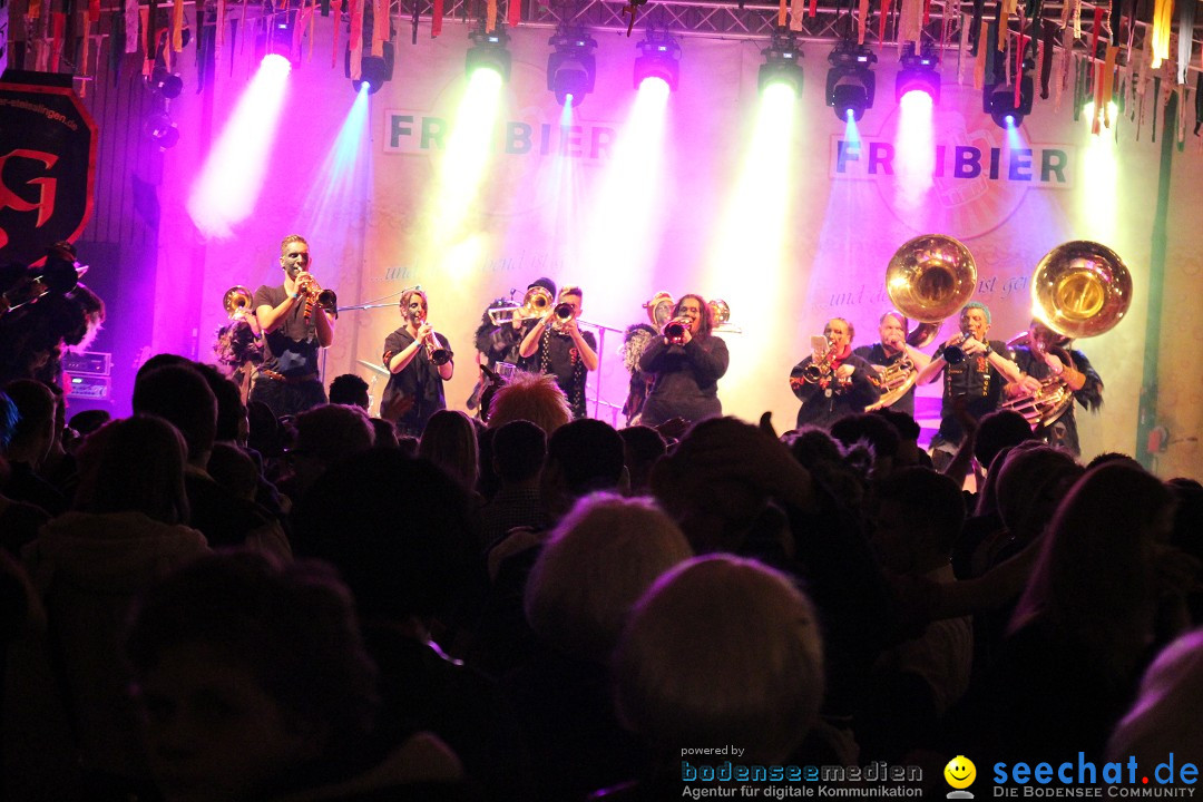 FREIBIER - Rosenmontagsball in Steisslingen am Bodensee, 03.03.2014