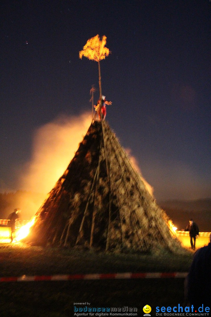 Funkenfeuer Fasnet - Ursaul bei Stockach am Bodensee, 09.03.2014