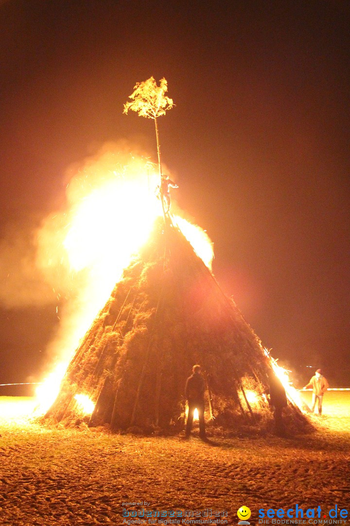 Funkenfeuer Fasnet - Ursaul bei Stockach am Bodensee, 09.03.2014