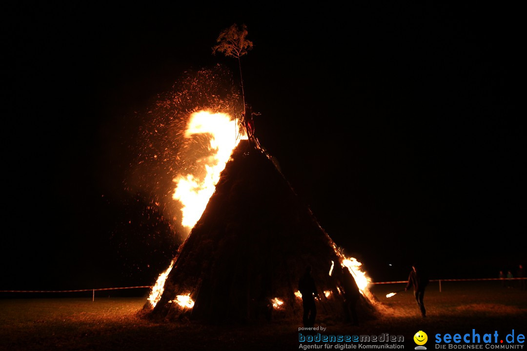 Funkenfeuer Fasnet - Ursaul bei Stockach am Bodensee, 09.03.2014