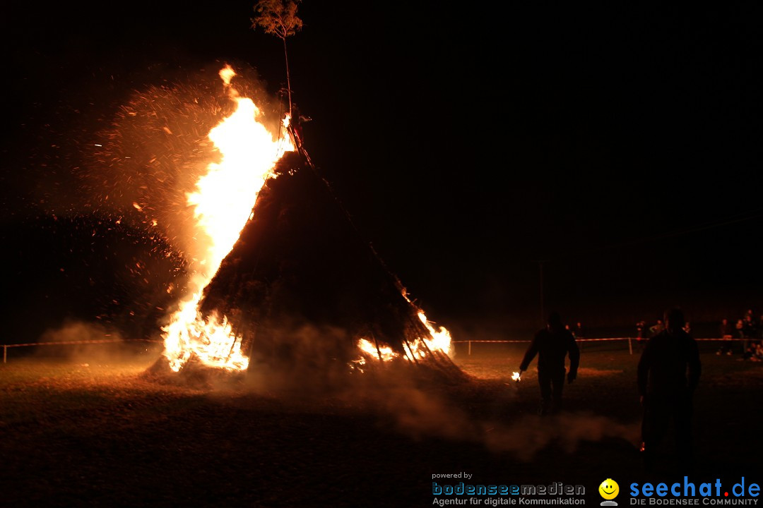 Funkenfeuer Fasnet - Ursaul bei Stockach am Bodensee, 09.03.2014