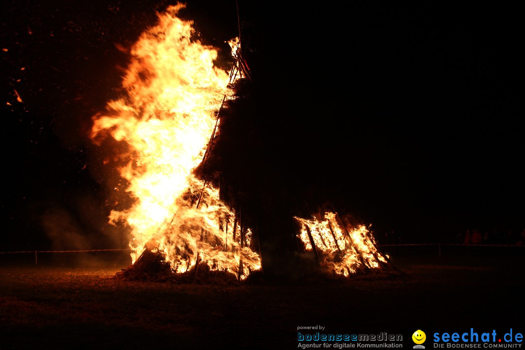 Funkenfeuer Fasnet - Ursaul bei Stockach am Bodensee, 09.03.2014