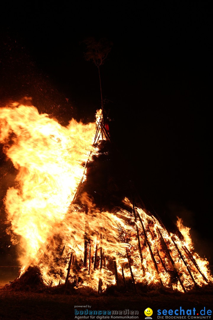 Funkenfeuer Fasnet - Ursaul bei Stockach am Bodensee, 09.03.2014