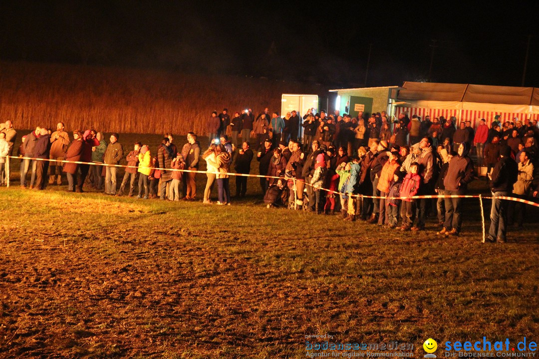 Funkenfeuer Fasnet - Ursaul bei Stockach am Bodensee, 09.03.2014