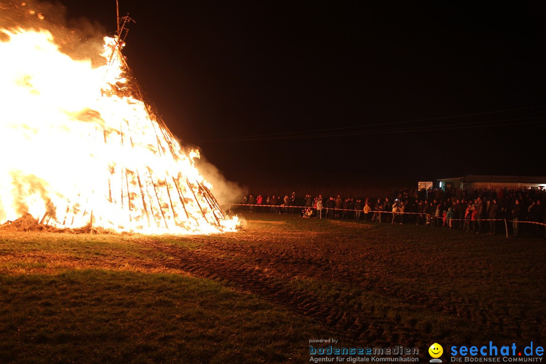 Funkenfeuer Fasnet - Ursaul bei Stockach am Bodensee, 09.03.2014