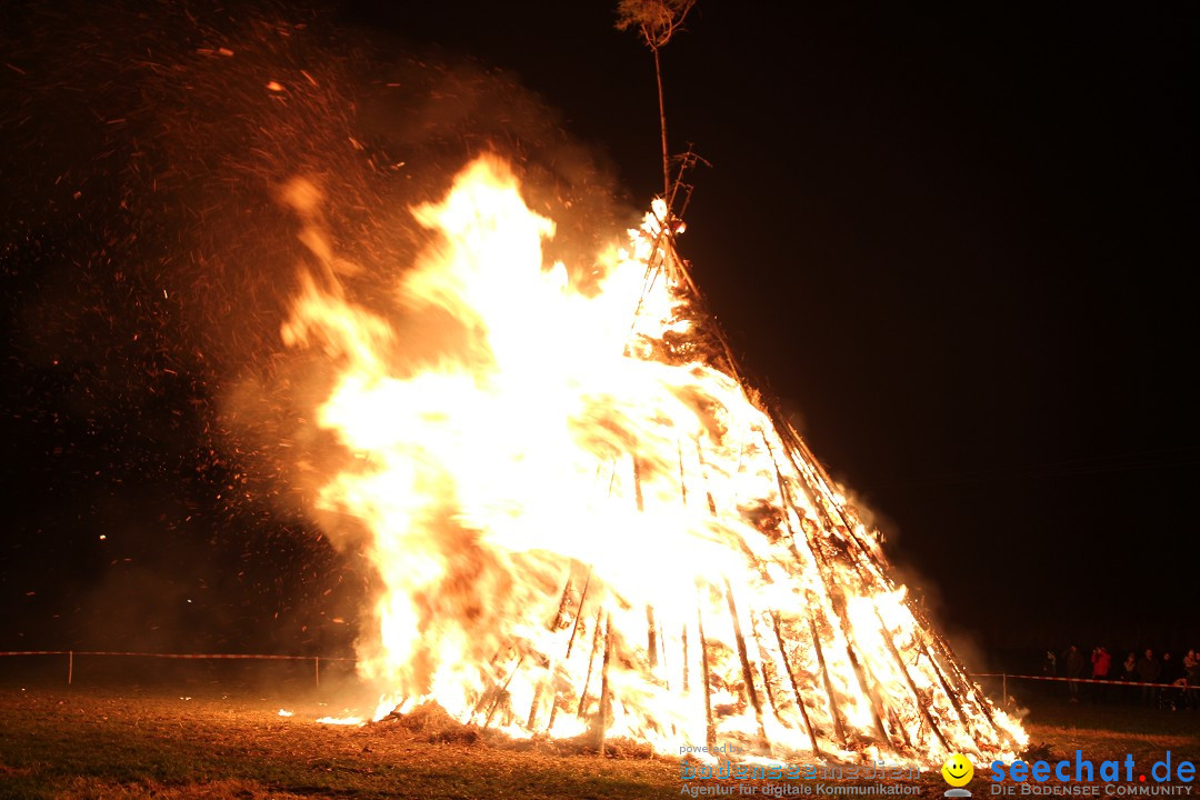 Funkenfeuer Fasnet - Ursaul bei Stockach am Bodensee, 09.03.2014