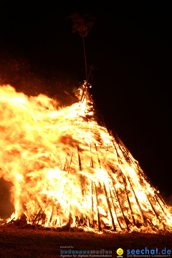 Funkenfeuer Fasnet - Ursaul bei Stockach am Bodensee, 09.03.2014