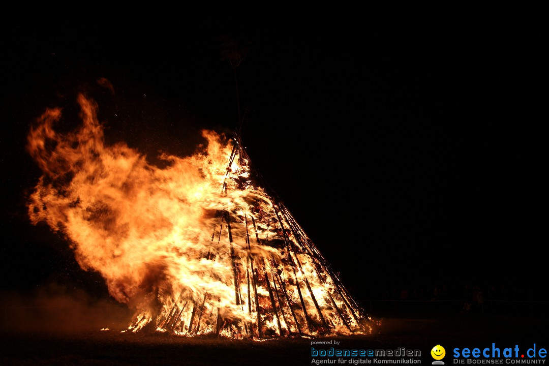 Funkenfeuer Fasnet - Ursaul bei Stockach am Bodensee, 09.03.2014