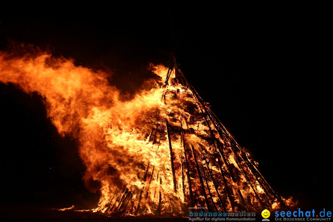 Funkenfeuer Fasnet - Ursaul bei Stockach am Bodensee, 09.03.2014