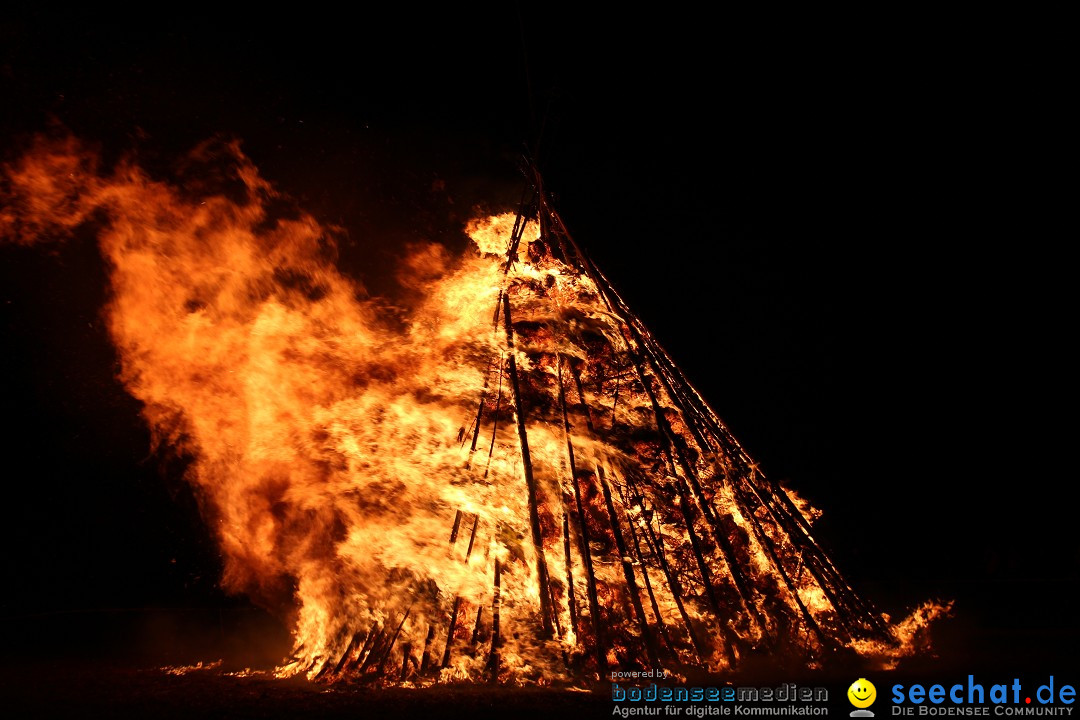 Funkenfeuer Fasnet - Ursaul bei Stockach am Bodensee, 09.03.2014