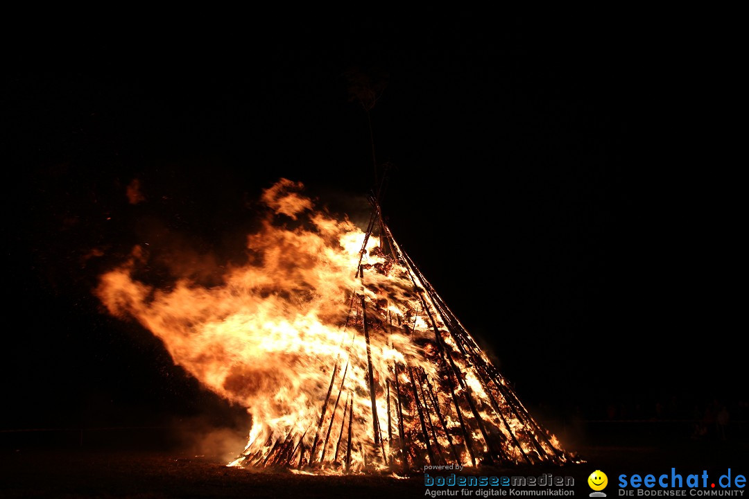 Funkenfeuer Fasnet - Ursaul bei Stockach am Bodensee, 09.03.2014